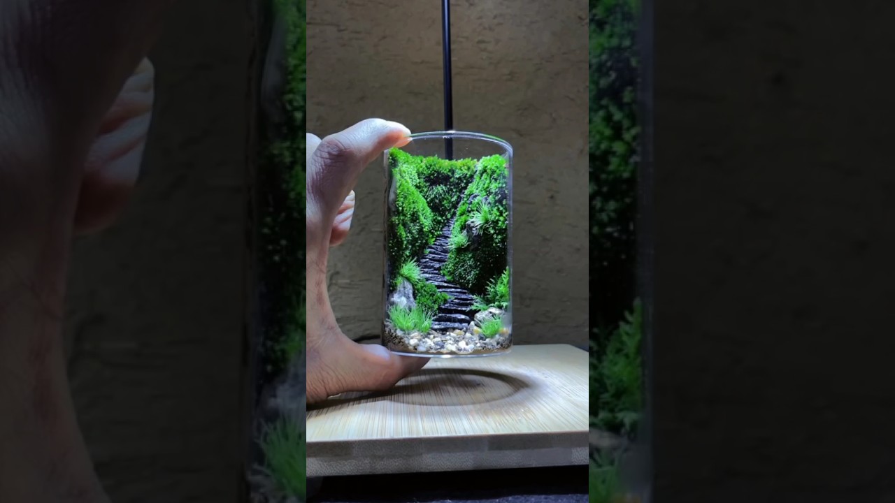 Easy and Simple Terrarium Building DIY #moss #terrarium