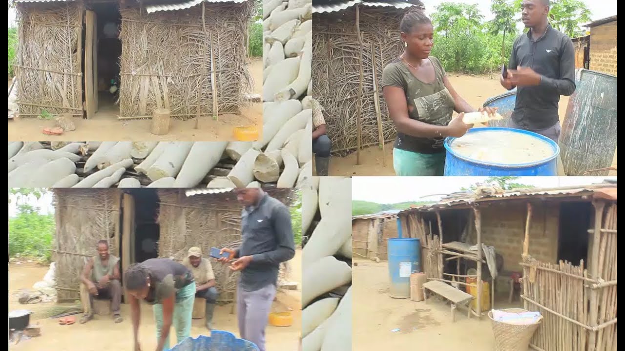 🧧FARA FARA AU VILLAGE MANZONZI