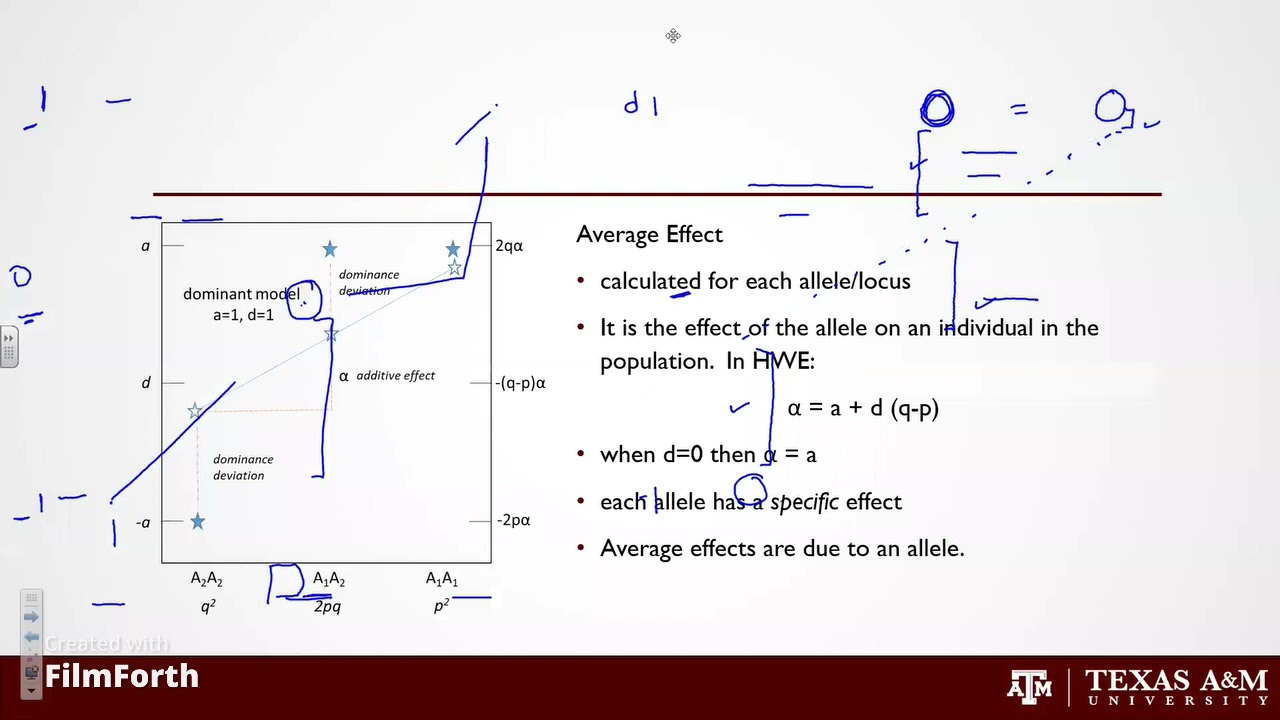 Estimating genetic variation and heritability using mating designs: By Dr. William Rooney