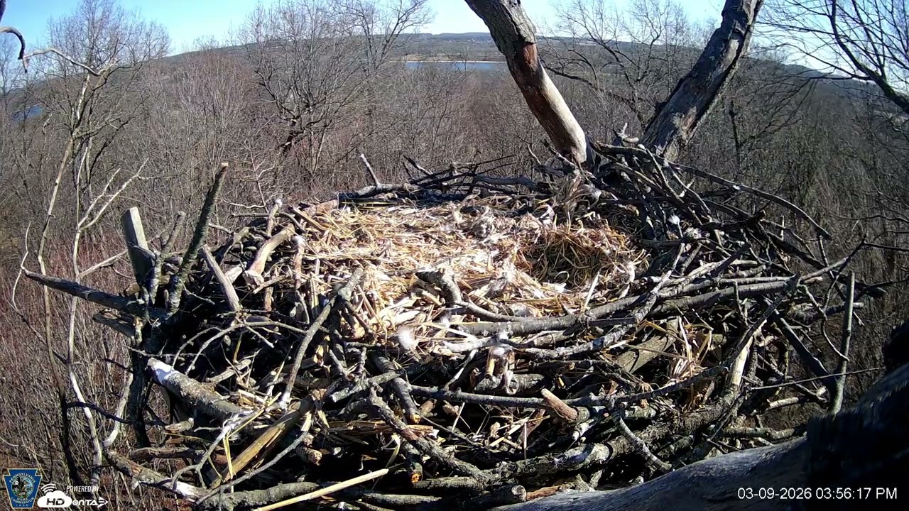 Hanover Eagles Live Cam   HDOnTap — Mozilla Firefox 2026 03 09 15 55 00