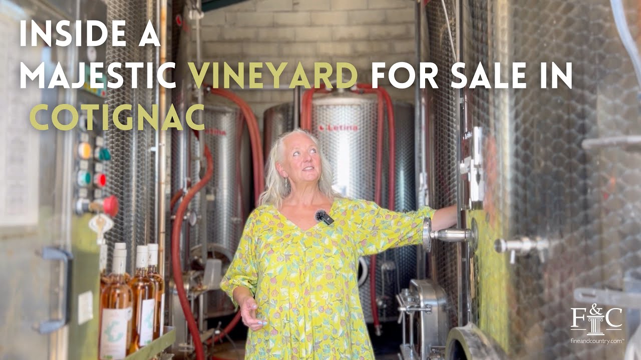 Inside a Majestic Vineyard for Sale in Cotignac 🍷