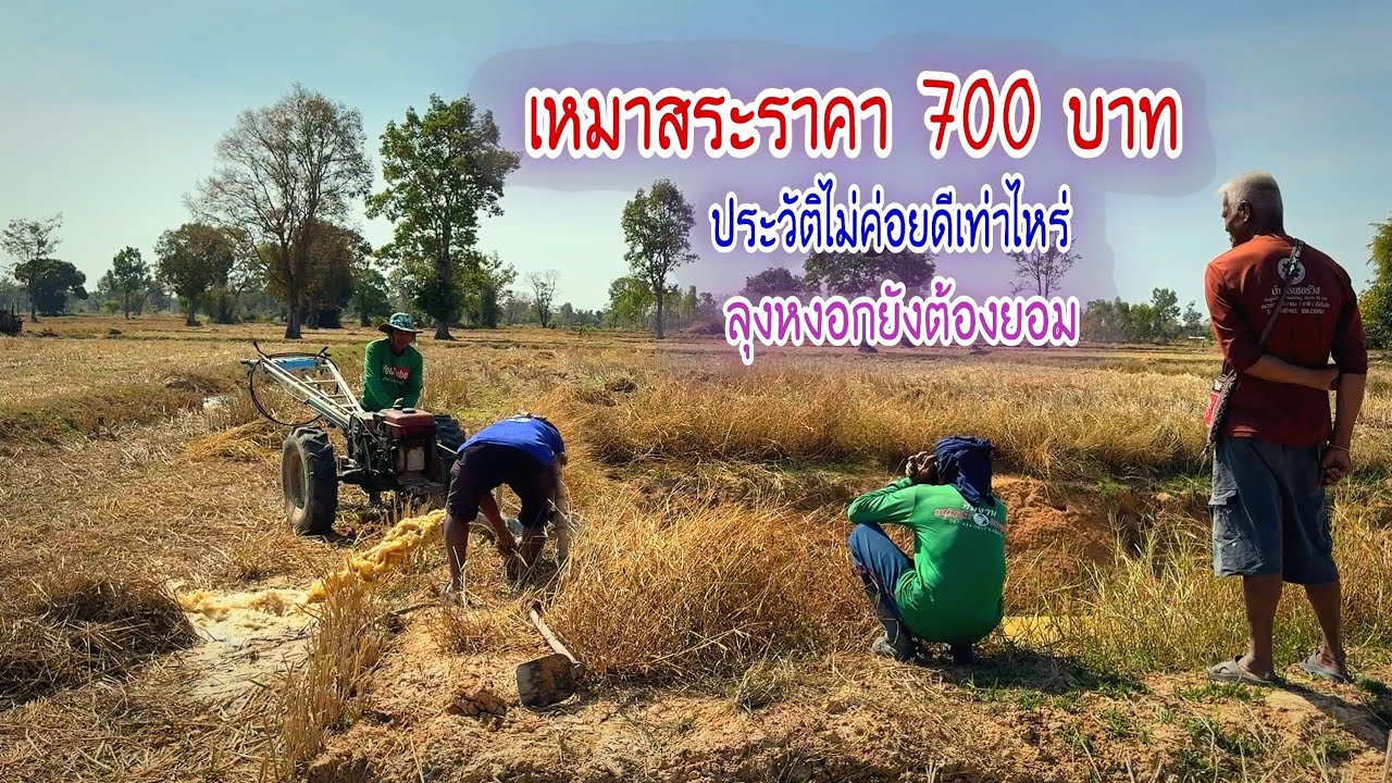 เหมาสระราคา 700 บาท เหตุการณ์ซ้ำรอยปีที่แล้ว ประวัติไม่ค่อยดีลุงหงอกถึงกับยอม