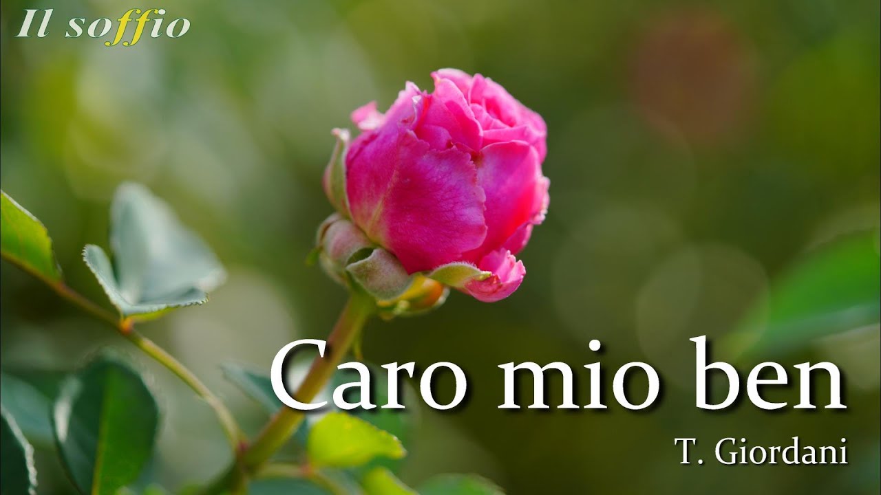 【イタリア古典歌曲集１】Arie antiche Italiane 1 - 36. Caro mio ben