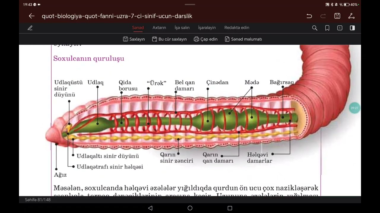 7 ci sinif Biologiya. Həlqəvi qurdlar tipi 🪱
