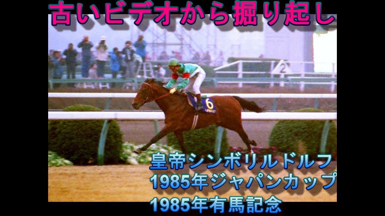 シンボリルドルフ 1985年ジャパンカップ 有馬記念