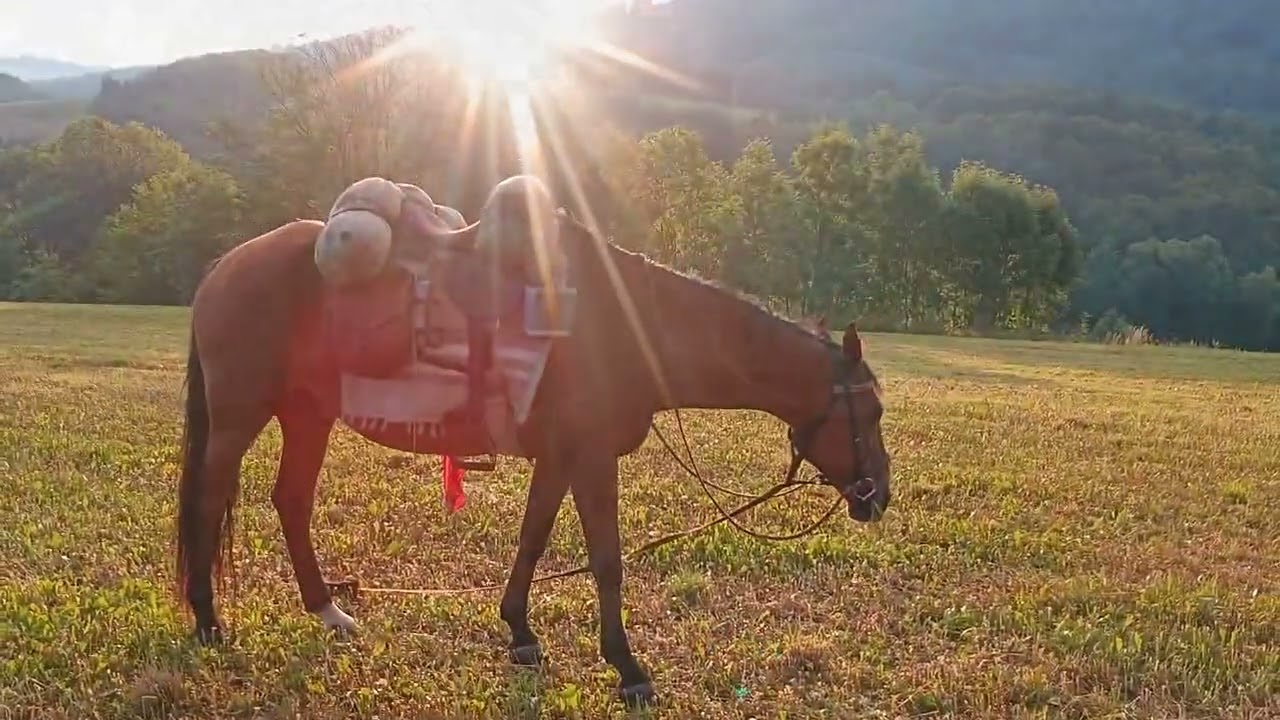 klif- V sedle krajinou Jantarové stezky 3.