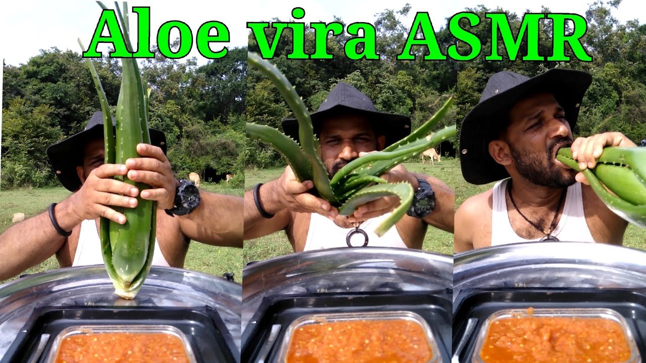 Aloe vera plant eating with chili salt sauce/ කෝමාරිකා/Food Eating Show [ASMR]…