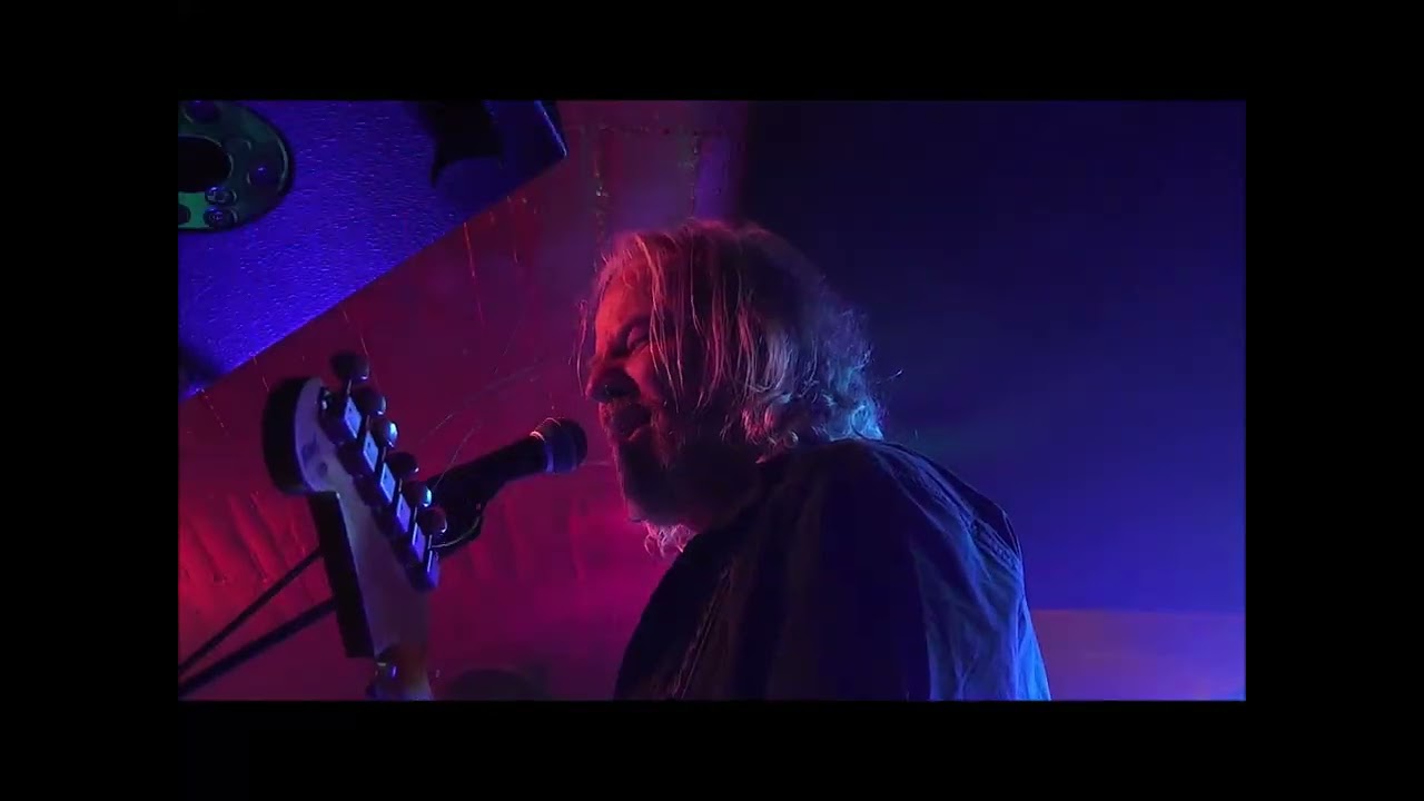 Van Damned -  No Regrets (live)