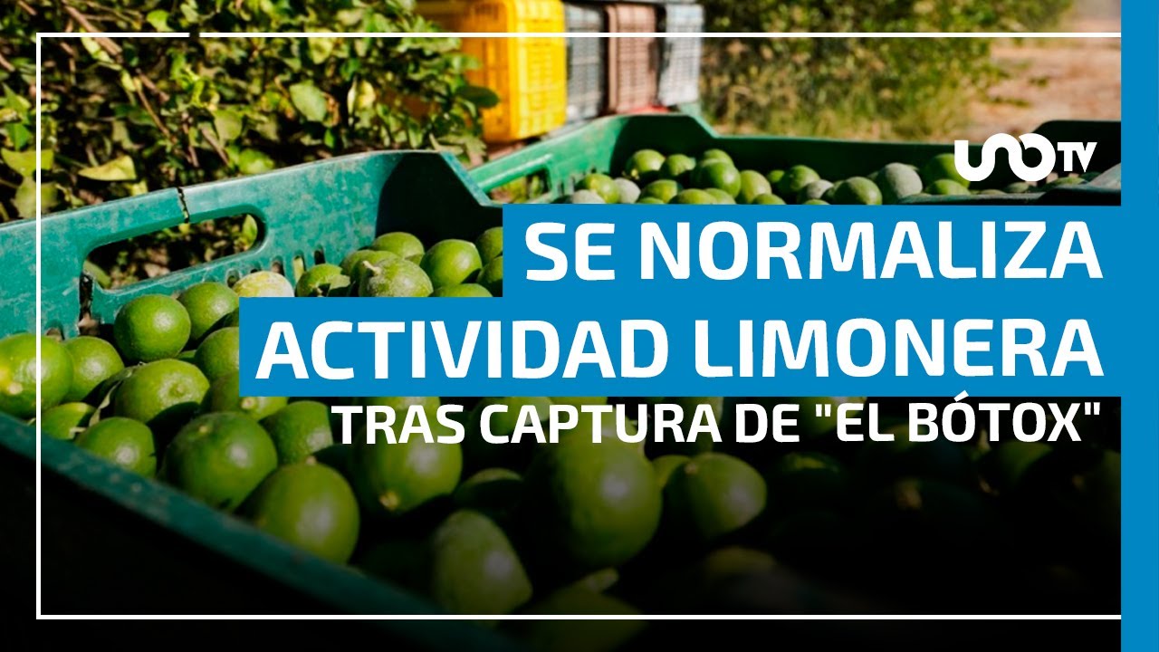 Tras caída del 