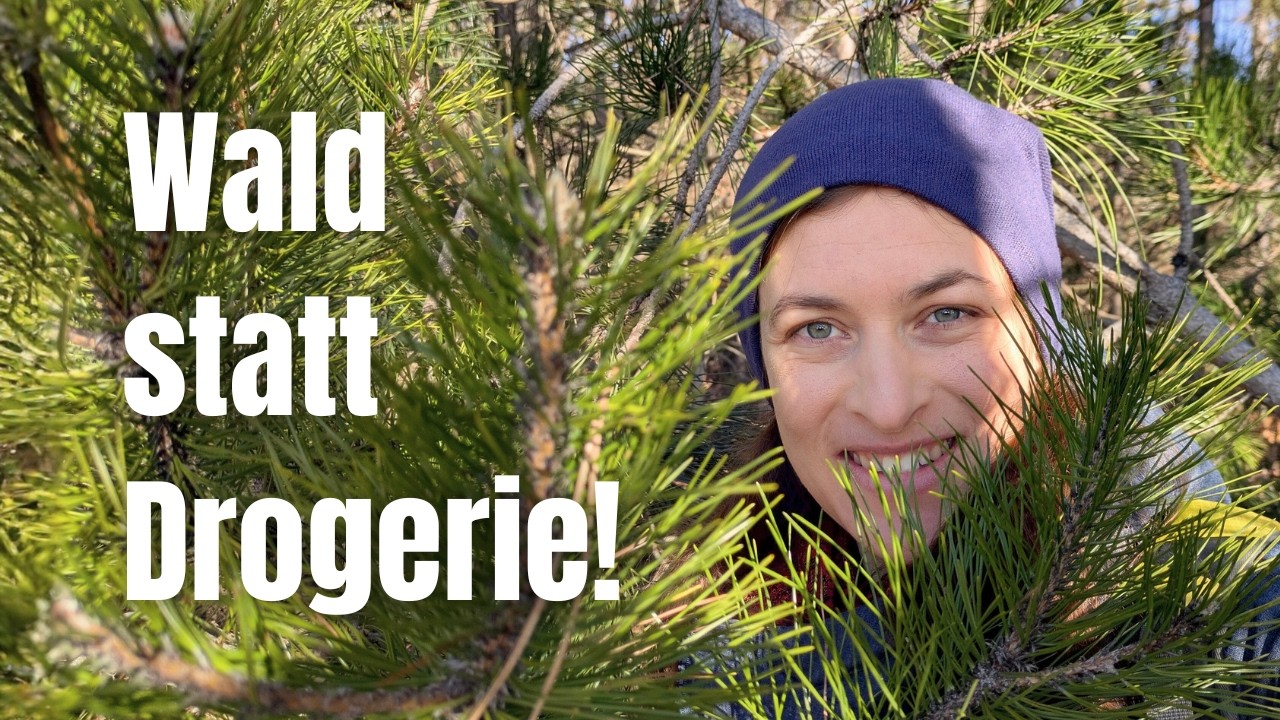 Kiefernnadeln: Besser als Fichte – Das Wald-Öl für Haut & Muskeln! 🌲