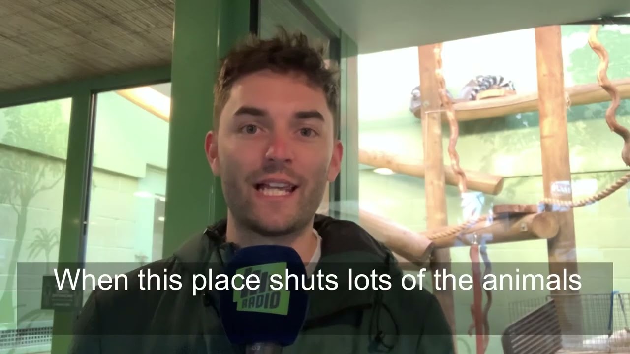 Bristol Zoo closure date revealed