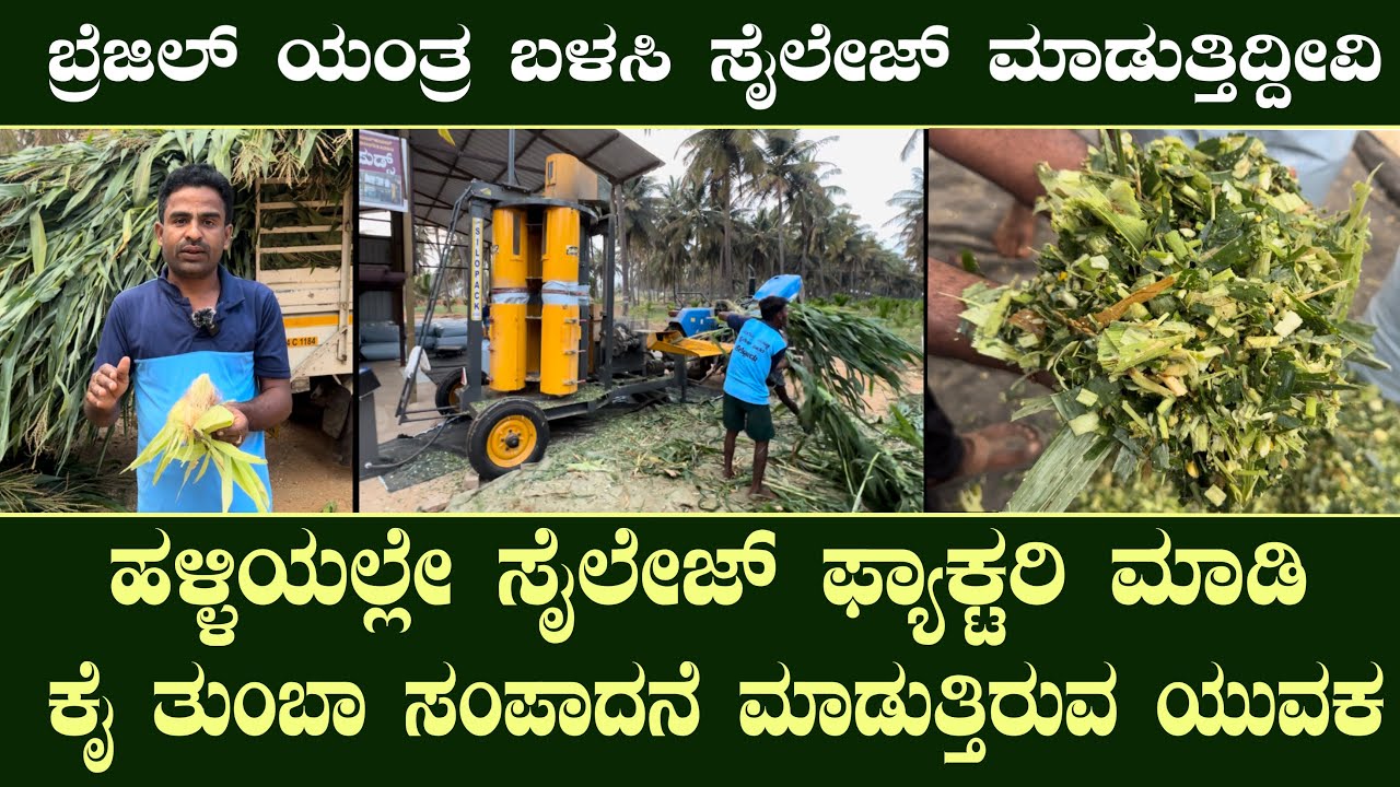 ಹಳ್ಳಿಯಲ್ಲೇ ಸೈಲೇಜ್ ಫ್ಯಾಕ್ಟರಿ ಮಾಡಿ ಕೈ ತುಂಬಾ ಸಂಪಾದನೆ ಮಾಡುತ್ತಿರುವ ಯುವಕ..