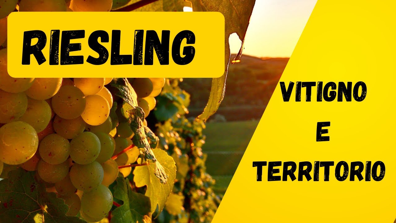 VINO e TERRITORIO #1 RIESLING