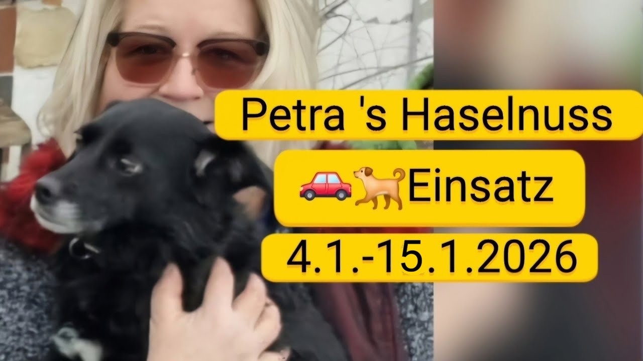 Mentor4Dogs-Einsatz im Jänner 2026