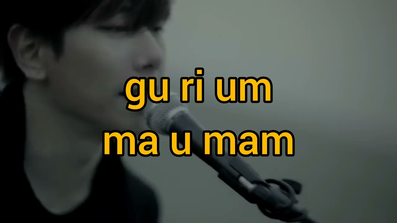 Easy Lyrics Wild Flower by Park Hyu Shin