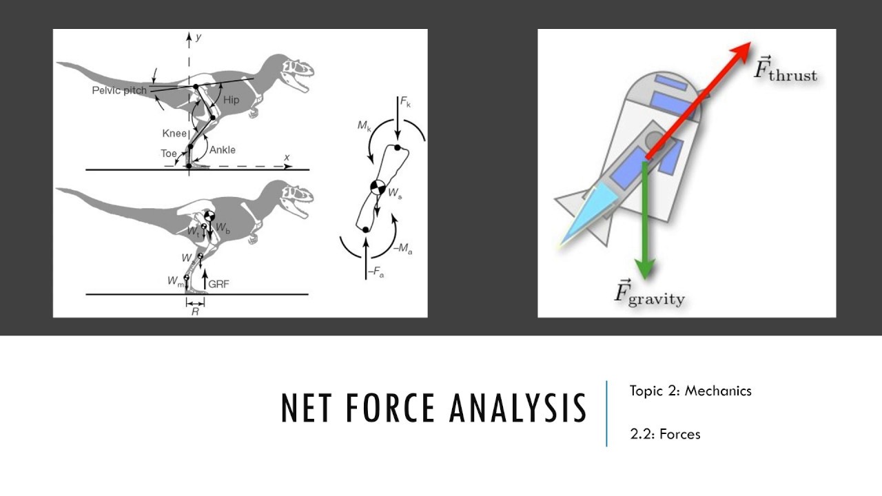 Net force analysis - IB Physics