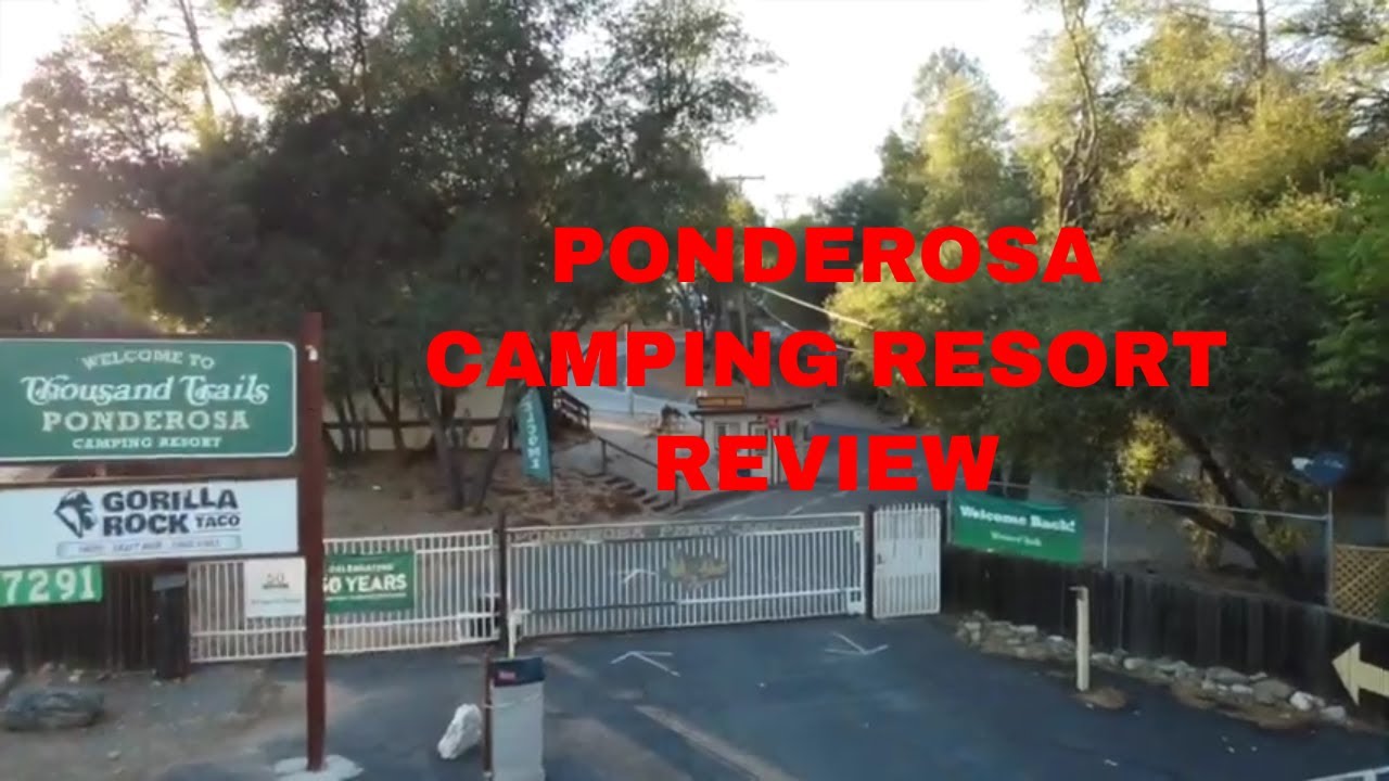 Thousand Trails Ponderosa RV Resort Review ~ Weiner Dog Races