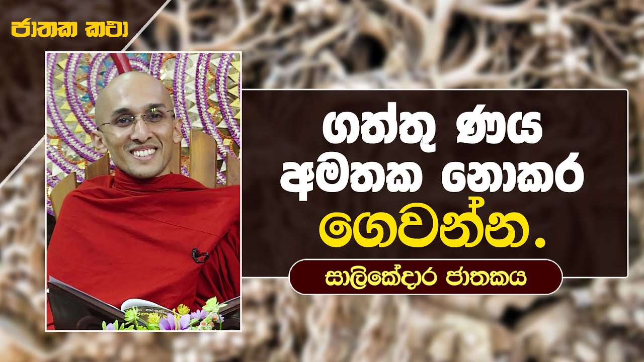 07) ගත්තු ණය අමතක නොකර ගෙවන්න (සාලිකේදාර ජාතකය) | ජාතක කතා | Jathaka Katha