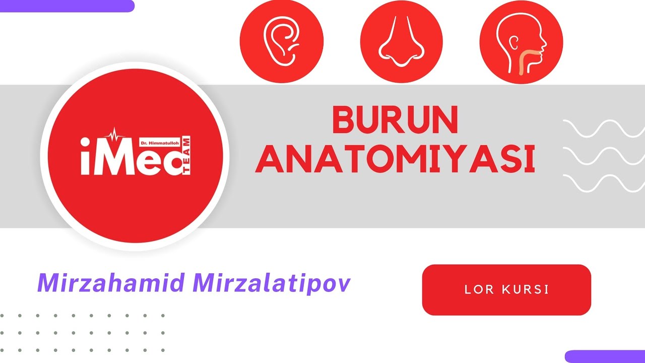 Burun anatomiyasi | LOR kursi uchun | #imed #imedteam #lor #burun