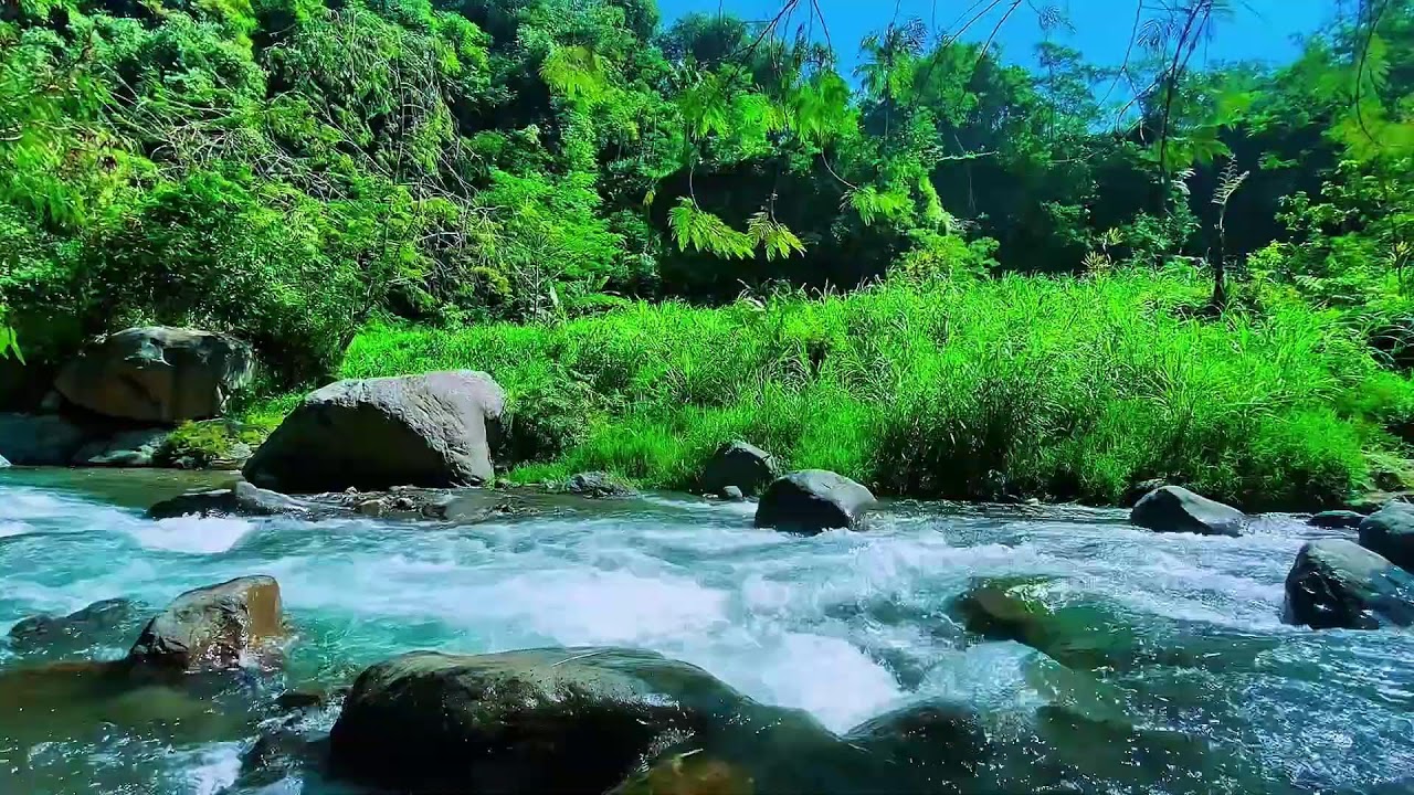 Forest River Soft Water Flow, Mountain Stream, Sleeping