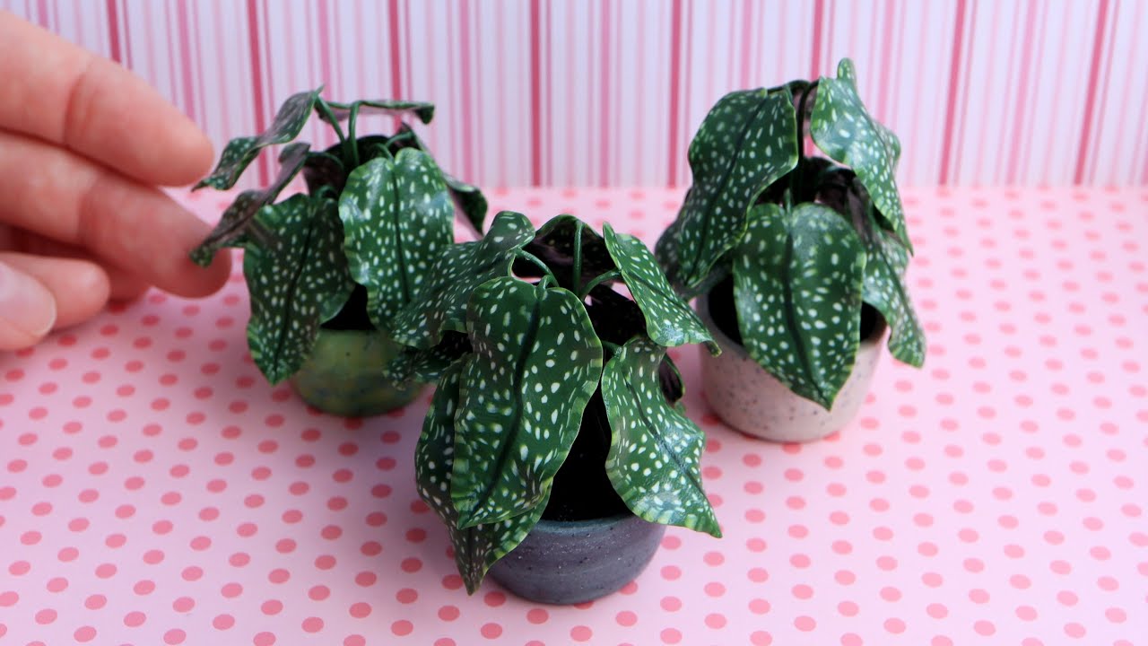 Miniature plant for doll house/Polymer clay🌿Мініатюрна рослинка для лялькового будиночку🌿