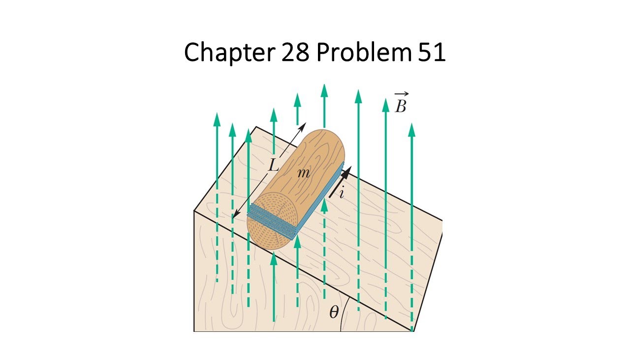 Halliday Physics problem solution chapter 28 problem 51