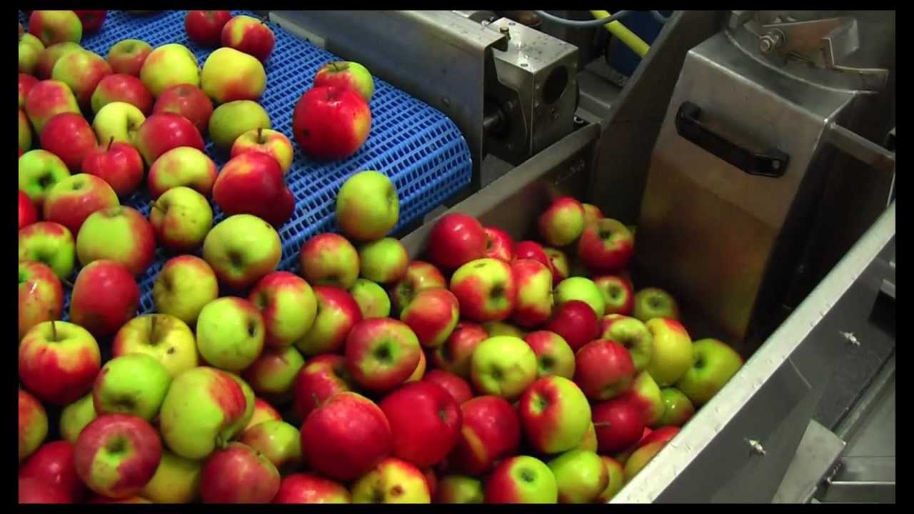 Amos Einbandpresse/single belt press OPUS30 - capacity 4.500 kg/h