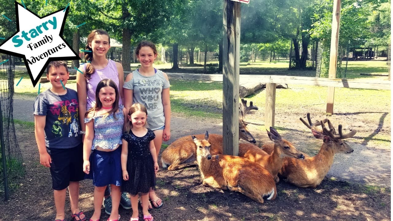 Starry Family Adventures | Wisconsin Deer Park | Trip 4, Day 4: Wisconsin