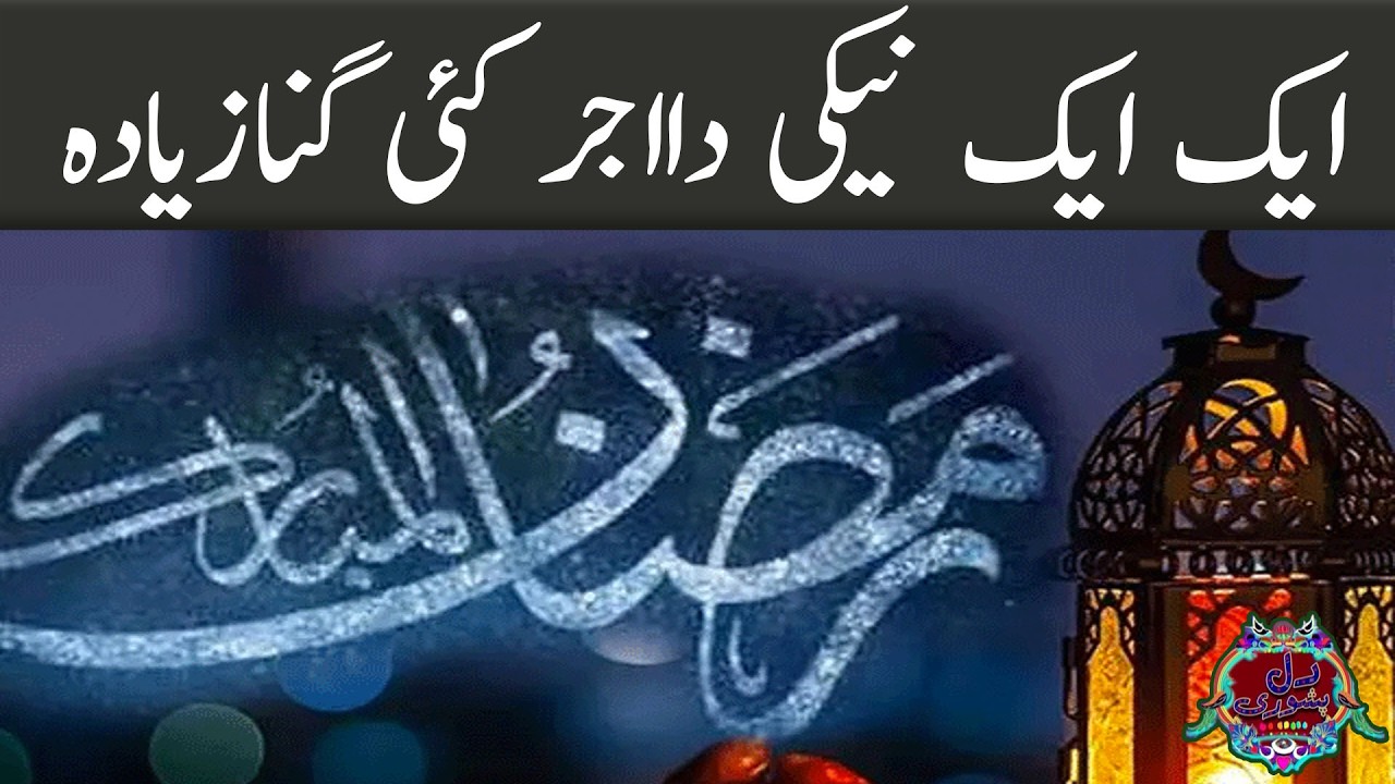 Dil Peshori | 22nd-Feb-2026 | Mashriq TV
