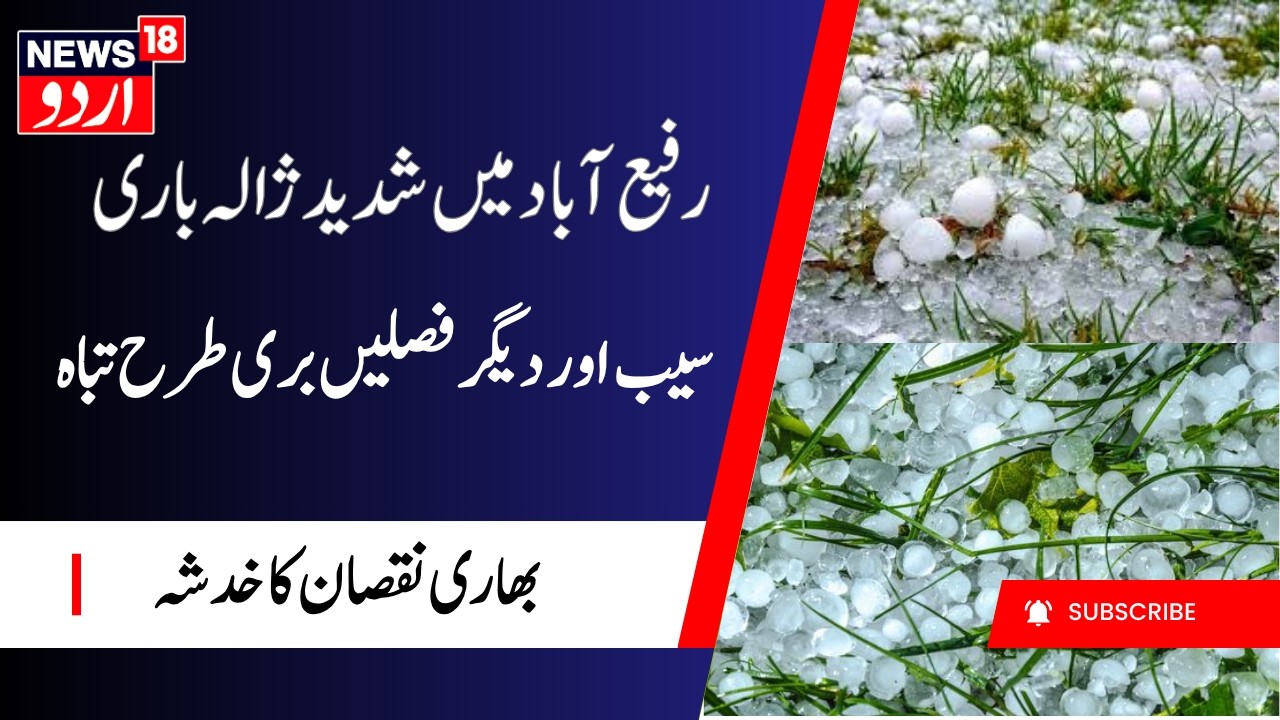 Heavy Hailstorm Devastates Apple Orchards |  رفیع آباد میں شدید ژالہ باری، سیب کے باغات تباہ | J&k