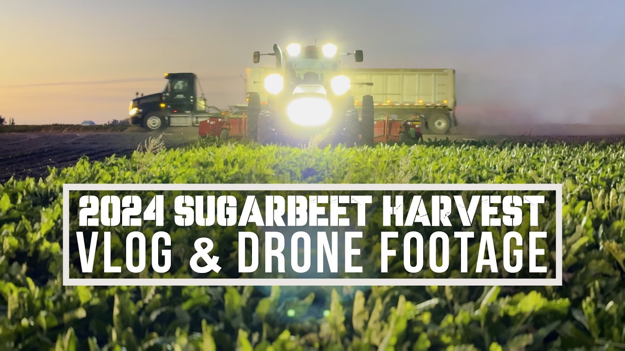 2024 Sugar Beet Harvest In North Dakota | VLOG and DRONE