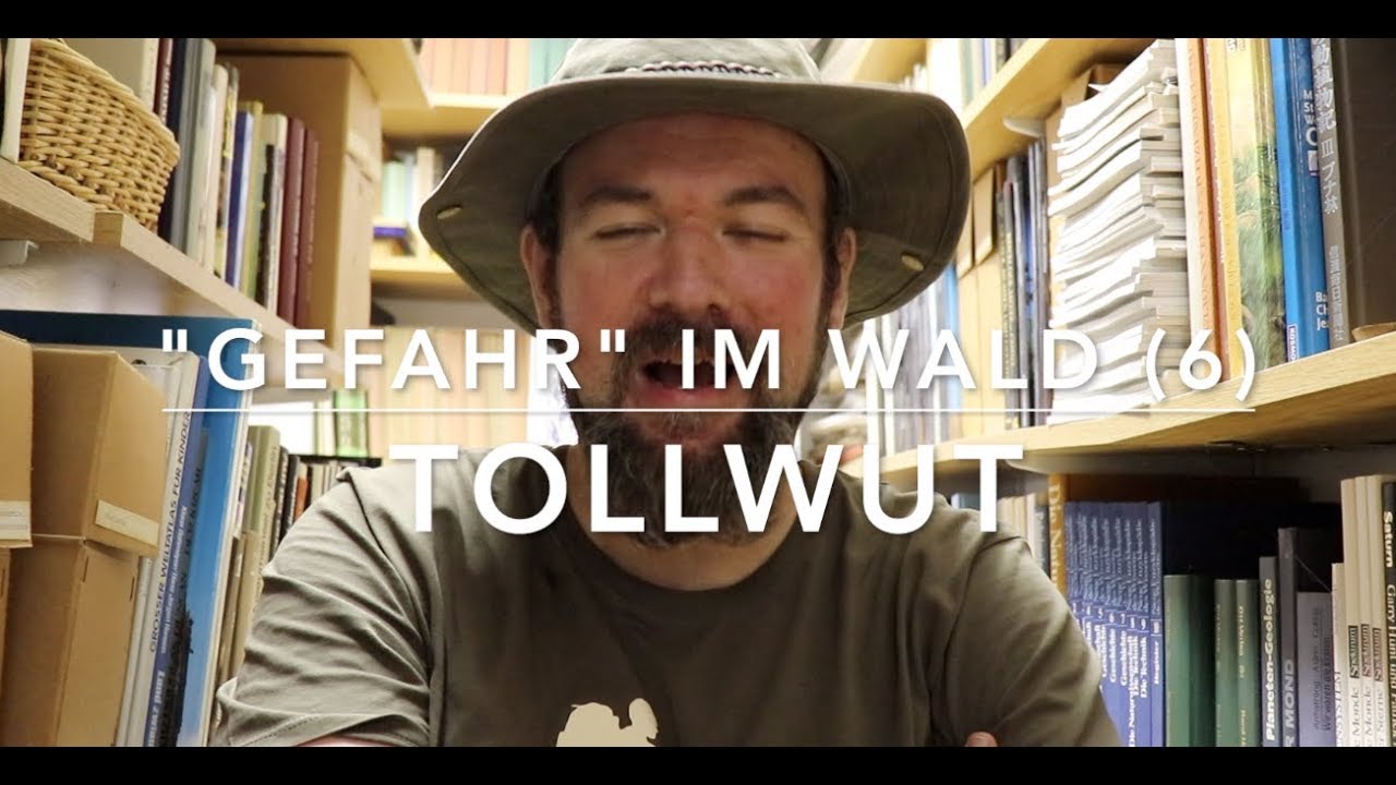 Tollwut - 