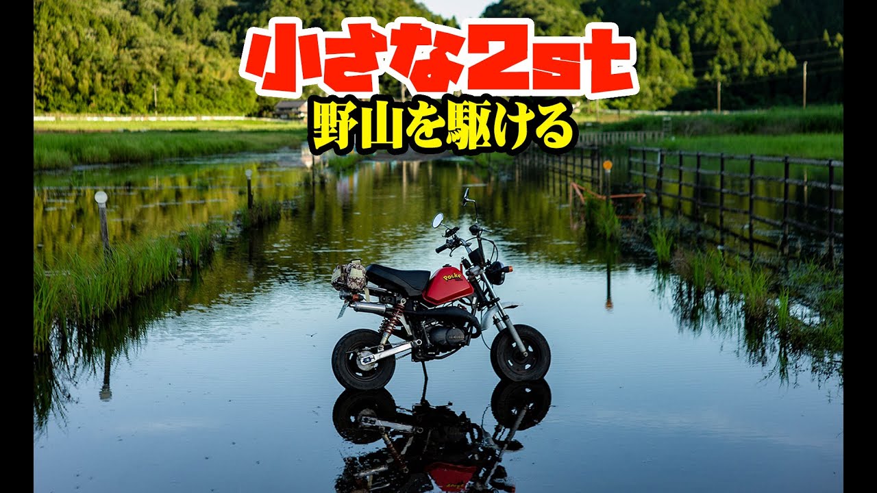 [新入り]赤いポッケがきました[2st]