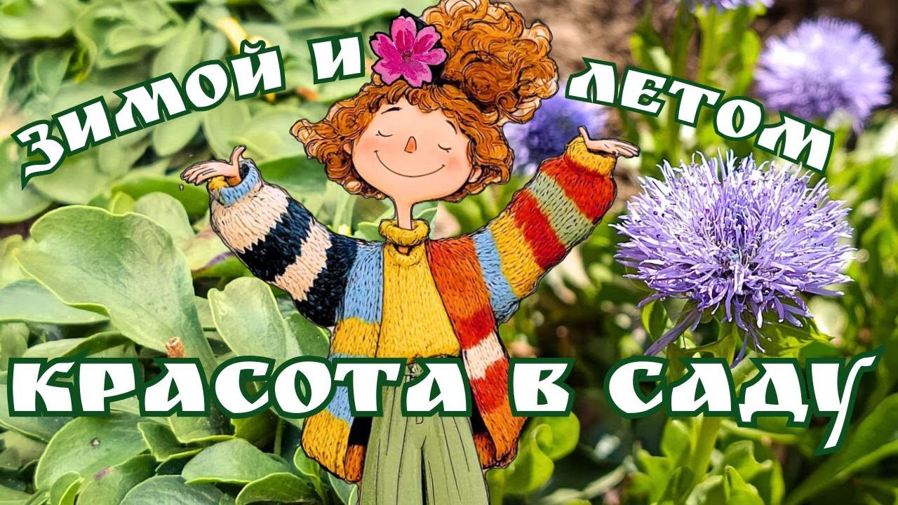 Вечнозелёные почвопокровники  для сада. Цветение , варианты посадки, сочетания в цветниках и уход.