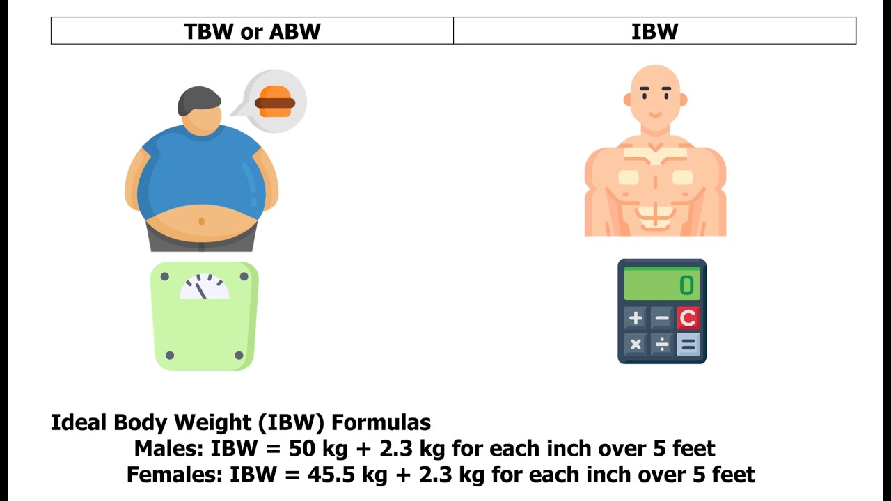 Exercise (4) Ideal Body Weight IBW Calculations