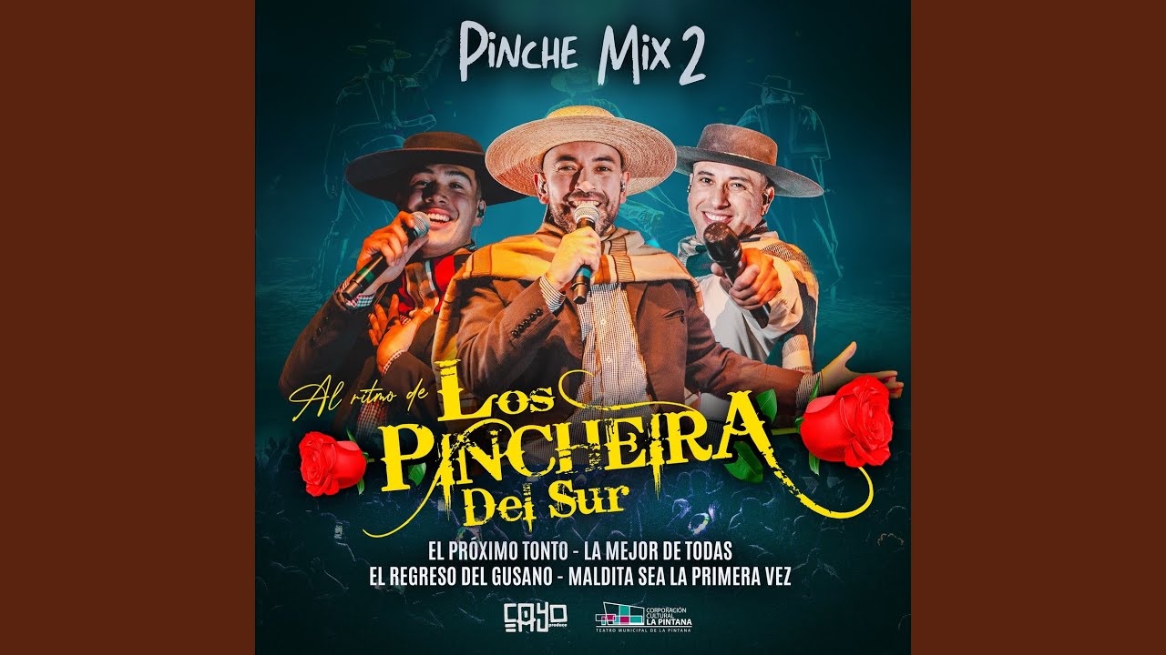 Pinche Mix 2