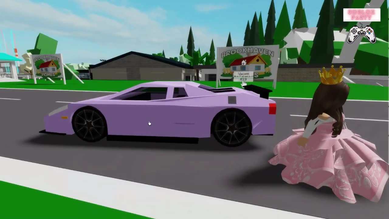 Pendant ce temps à Brookhaven en mode discret  épisode 1
