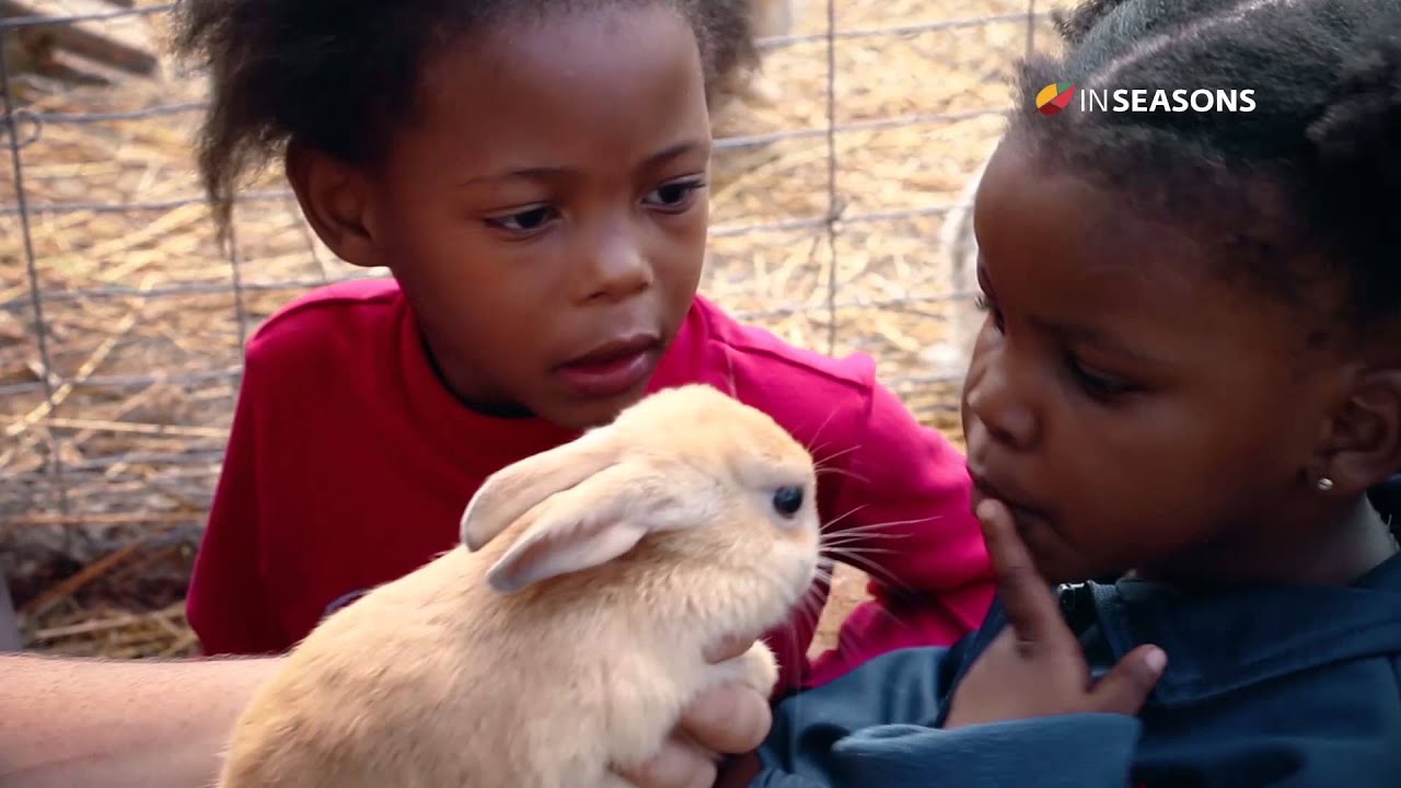 Bunny hop haven