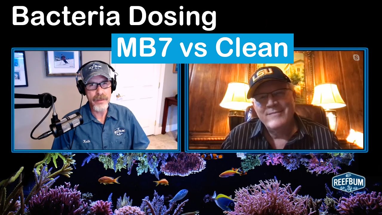 Bacteria Dosing Deep Dive: MB7 vs. Clean, Rappin' With ReefBum Sound Bite