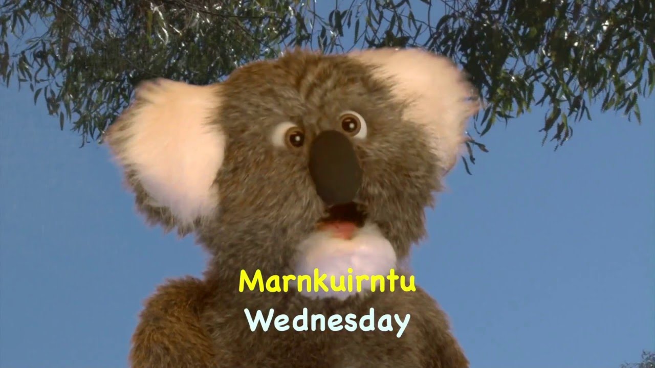 Ep 9 Weekdays in Kaurna