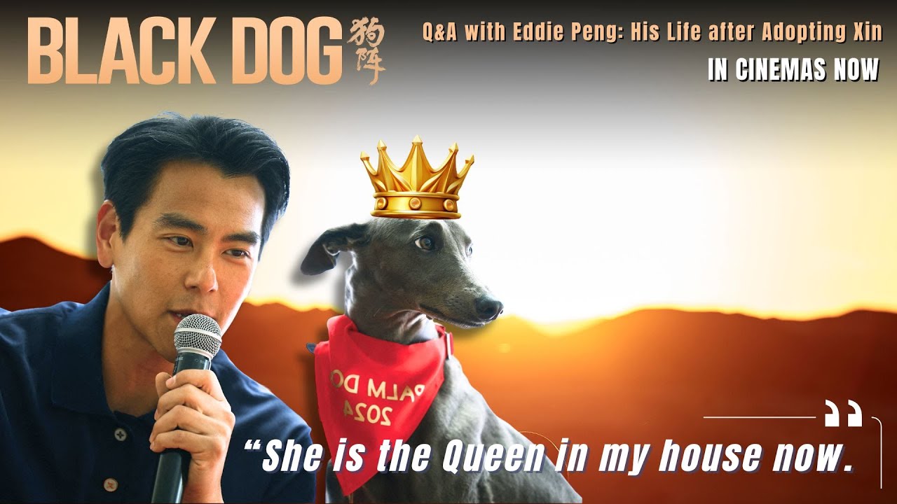 BLACK DOG Q&A with Eddie Peng: "Xin is the Queen in my house now."