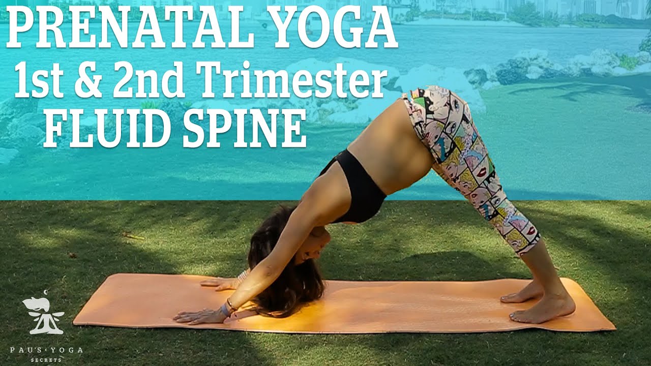 PRENATAL YOGA   (2ND TRIMESTER) [FLUID SPINE]