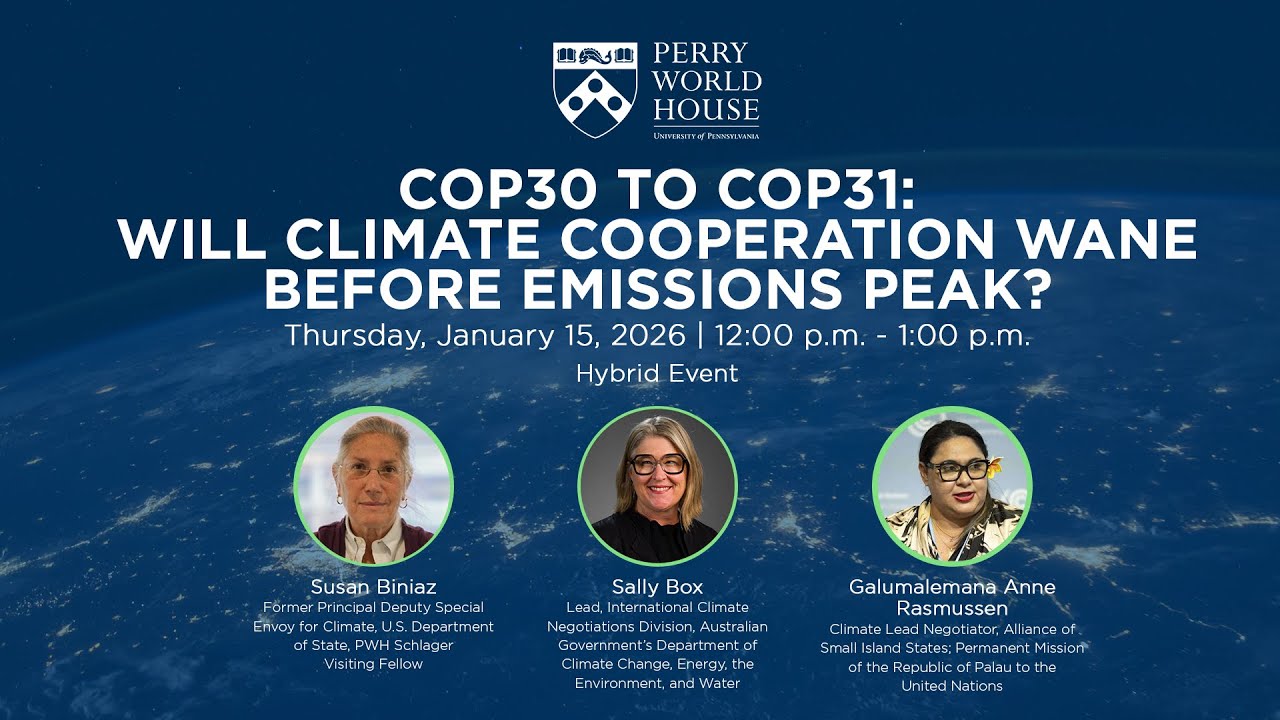 COP30 to COP31: Will Climate Cooperation Wane Before Emissions Peak?