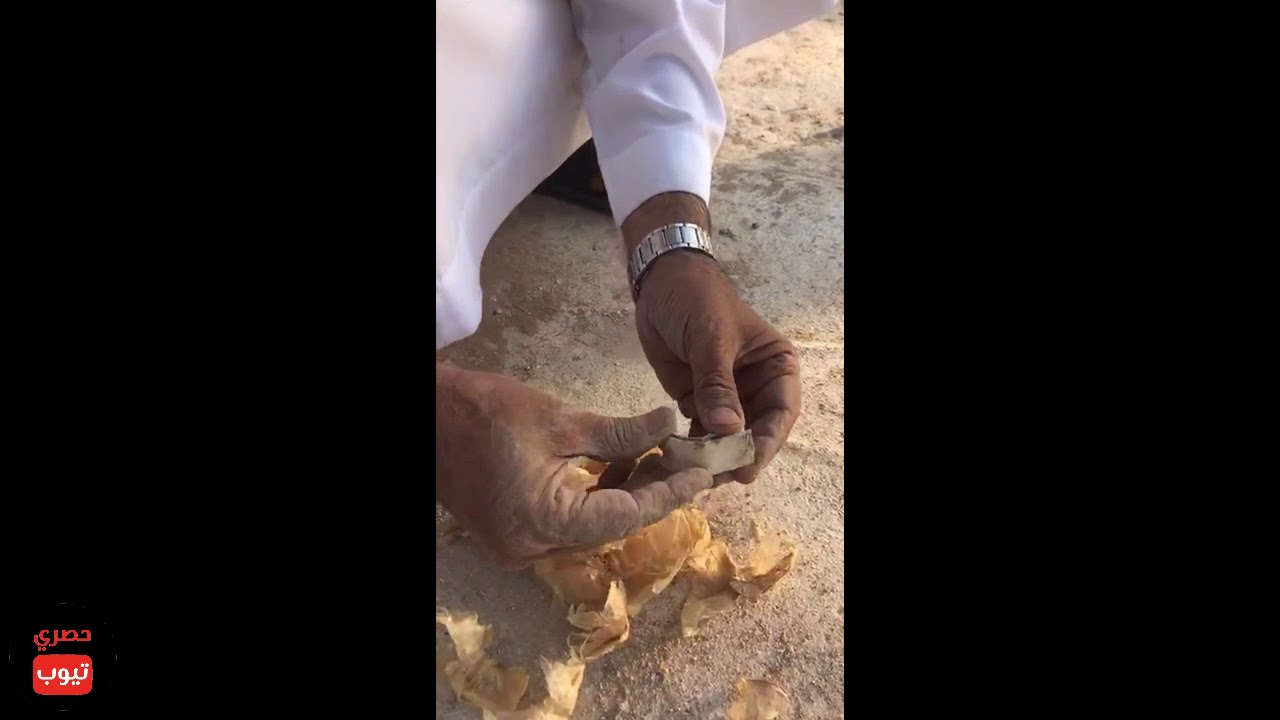 شيبان حطوا ورقه وهم صغار بمكان وبعد 45 سنه راحوا لنفس المكان فتحوا الورقة شوفوا ايش مكتوب