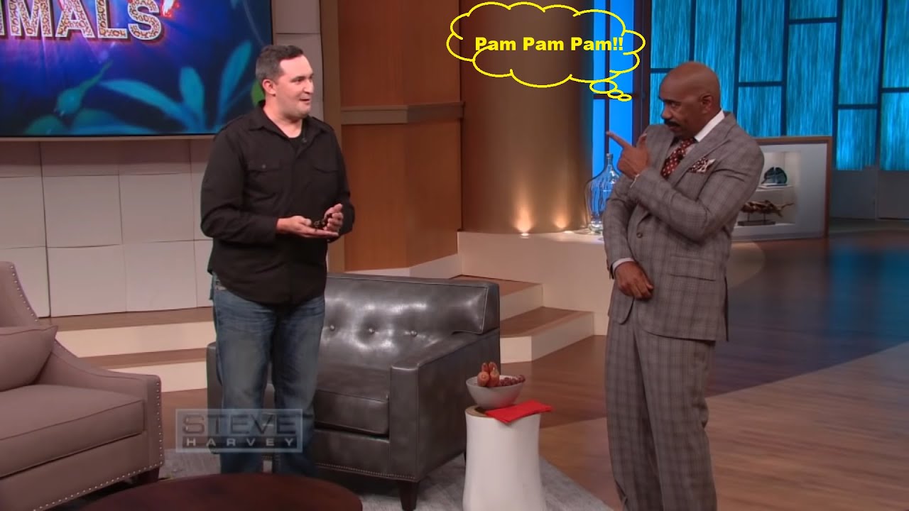 Steve Harvey funny moments with animals :D | Steve Harvey Show