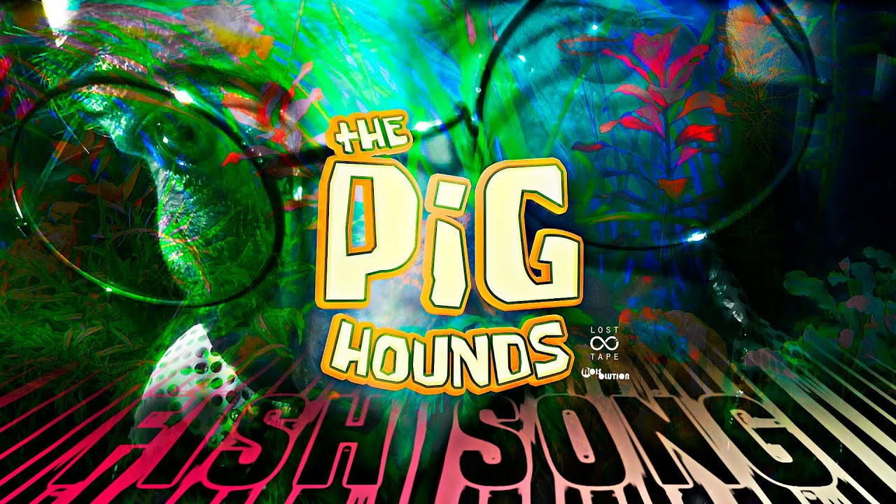 The Pighounds - Fish Song (Official Music Video)