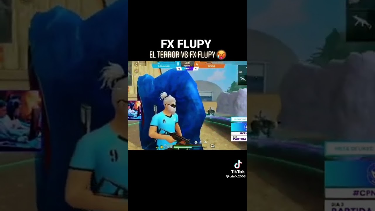 FX FLUPY