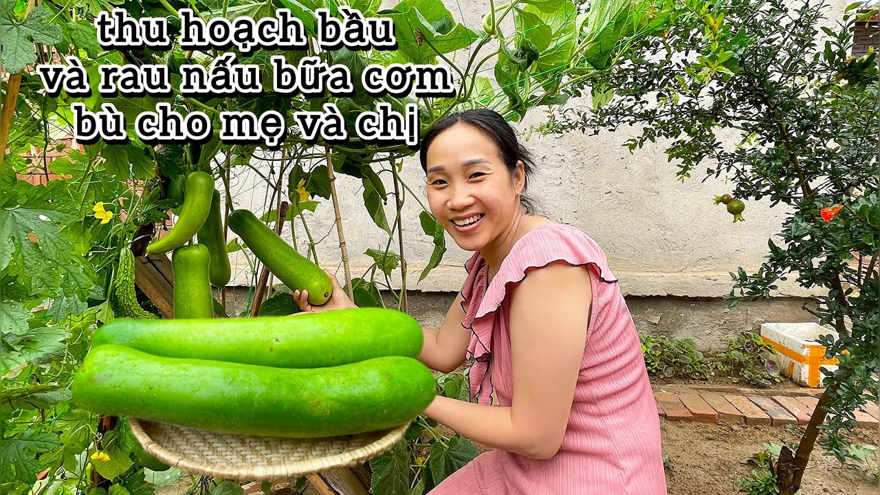 #667 Cơn Mưa Giàn Bầu Sập Chị Xuất Viện Về Bất Ngờ Thao Chạy Chuẩn Bị Lo Bữa Cơm Vội Cho Cả Nhà🇨🇳🇻🇳