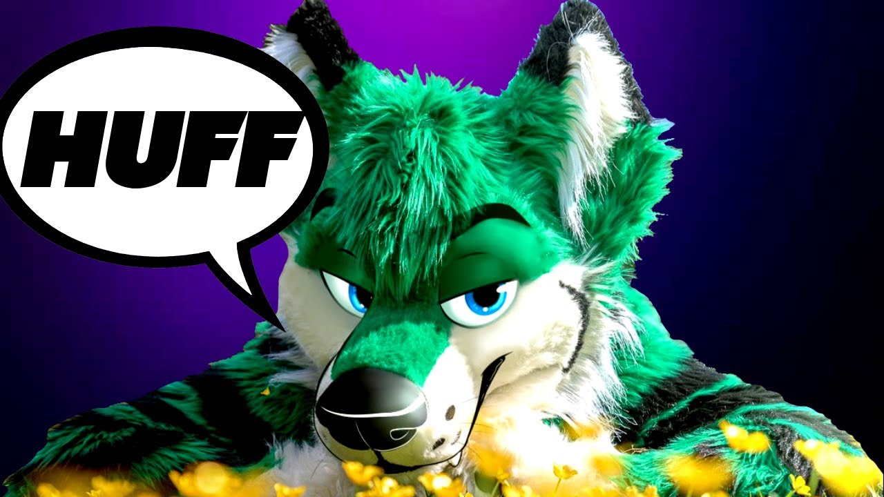 Hooking up at a Furry Convention ~