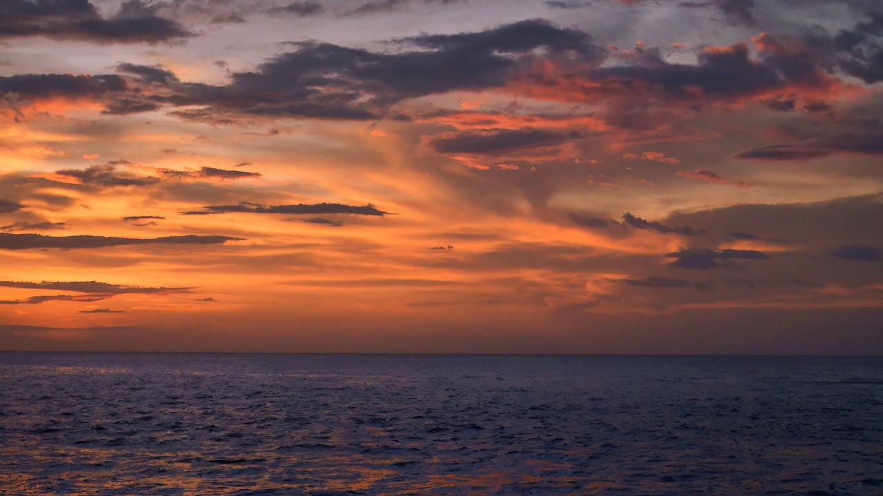 🎺🎸 💃 A Sea Made for Waltz | A Slow Romantic Trumpet & Flamenco Guitar Manifesto 🎬
